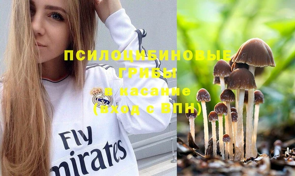 не бодяженный Аркадак