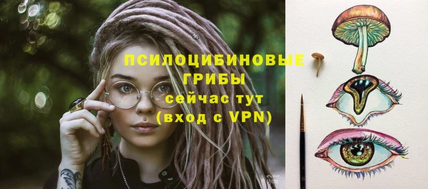 круглые Алзамай